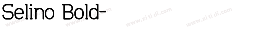 Selino Bold字体转换